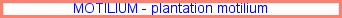 Motilium before or after eating